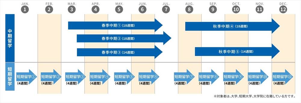 lcic年間スケジュール