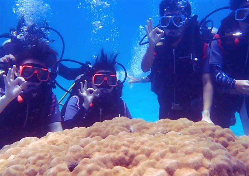 LSLCアクテビティ