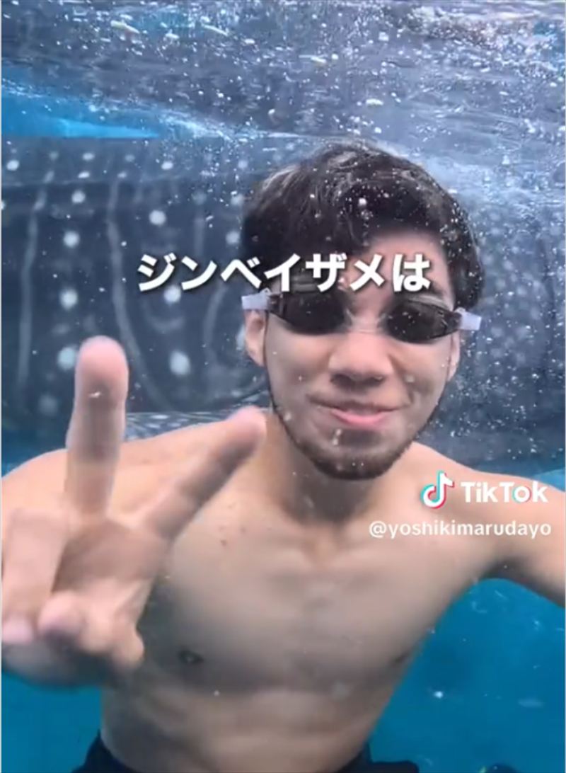 フィリピンでジンベエザメツアーを体験するよしきまるさん