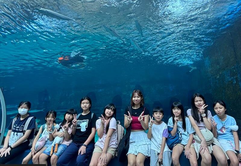 cella-ジュニアキャンプ